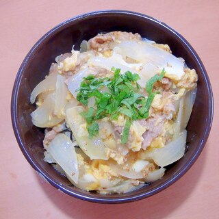 淡路島産の玉葱を使って、美味しい豚丼♪